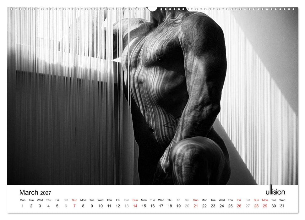 Male Nude Art (CALVENDO Premium-Calendar 2027)