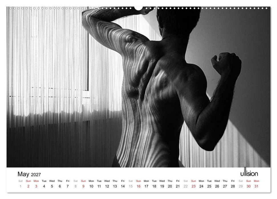 Male Nude Art (CALVENDO Premium-Calendar 2027)
