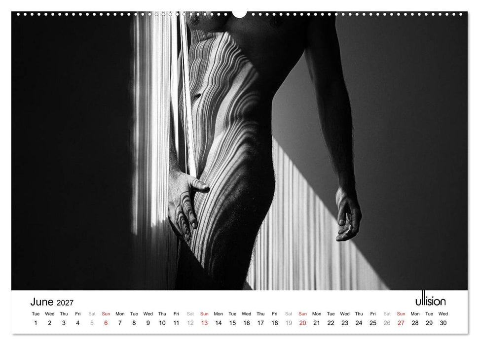 Male Nude Art (CALVENDO Premium-Calendar 2027)