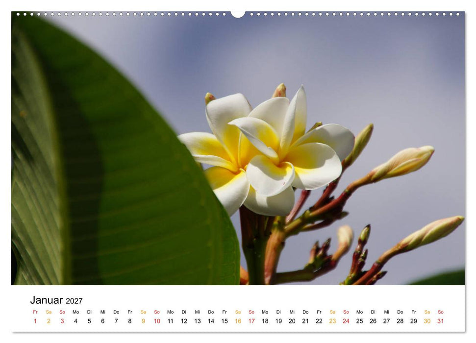 La Réunion - Auf der Insel der Gefühle (CALVENDO Premium Wandkalender 2027)