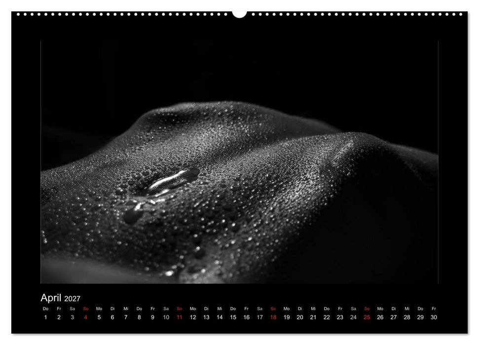 Erotische Körper (CALVENDO Premium Wandkalender 2027)