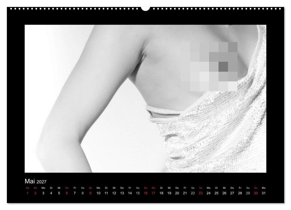 Erotische Körper (CALVENDO Premium Wandkalender 2027)