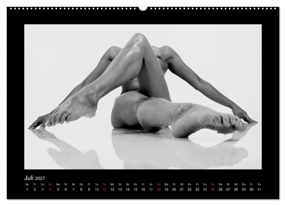 Erotische Körper (CALVENDO Premium Wandkalender 2027)