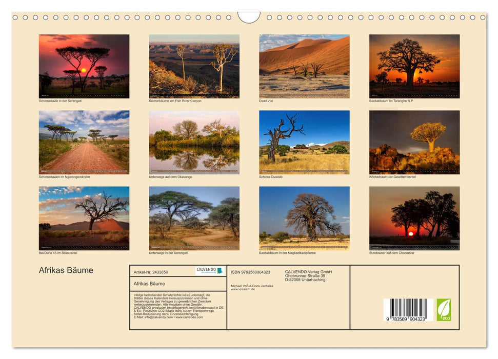 Afrikas Bäume (CALVENDO Wandkalender 2027)