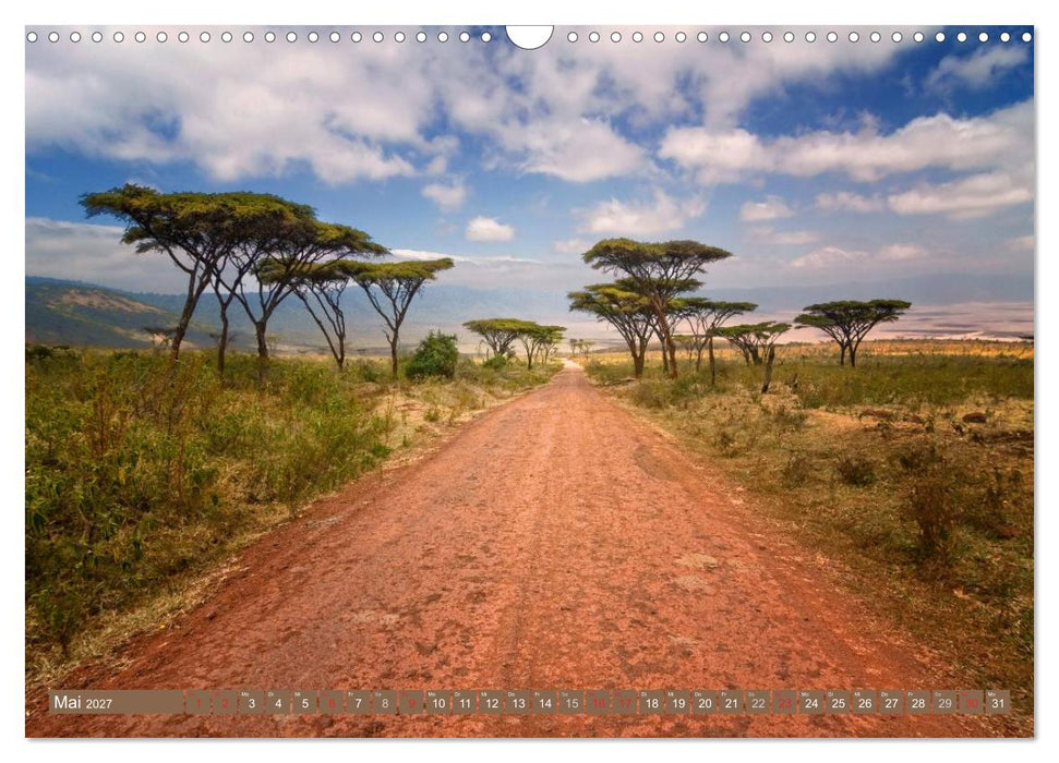 Afrikas Bäume (CALVENDO Wandkalender 2027)