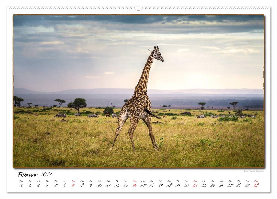 Abenteuer Masai Mara (CALVENDO Wandkalender 2027)