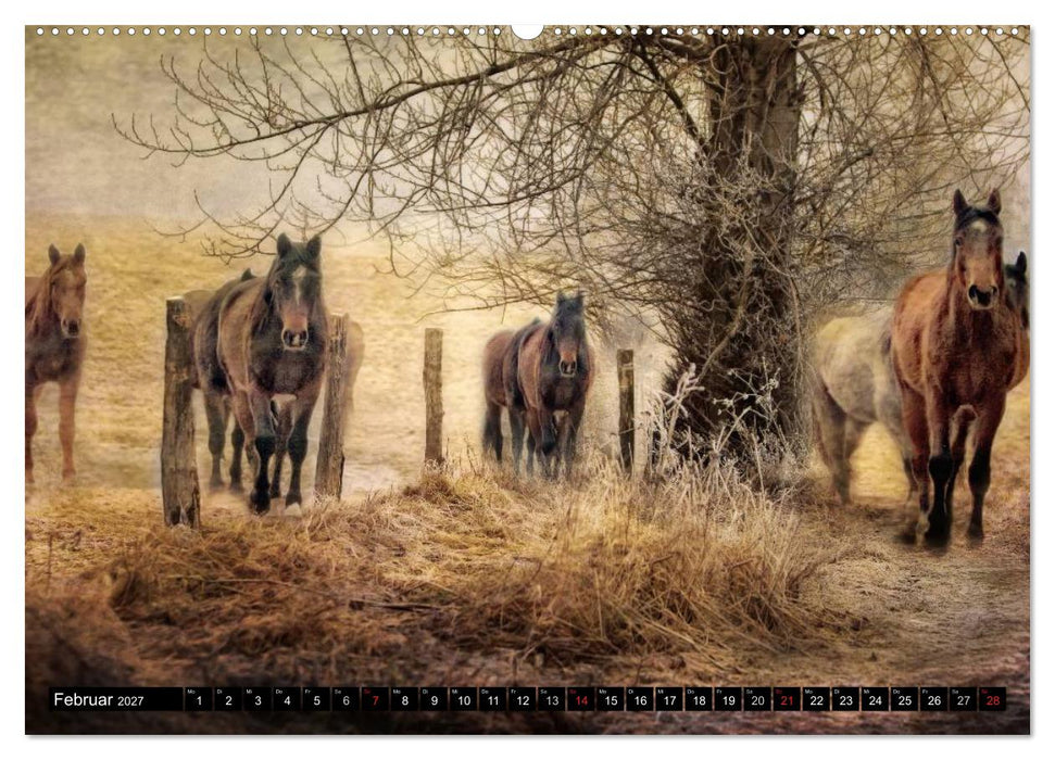 Western-Feeling (CALVENDO Premium Wandkalender 2027)
