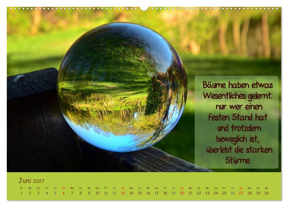 Wunderbare Waldkugeln (CALVENDO Wandkalender 2027)
