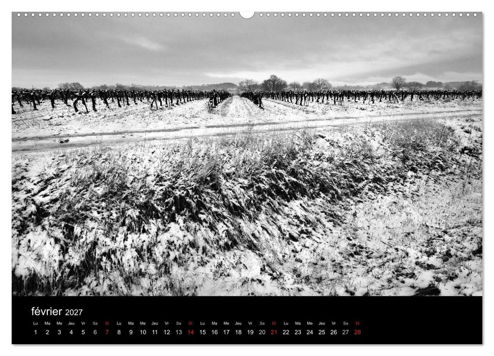 VIGNES DU SUD terroirs d'AOC (CALVENDO Calendrier supérieur 2027)