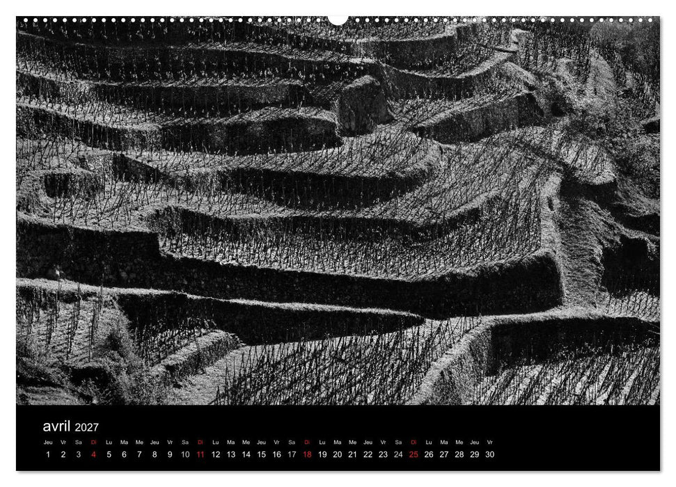 VIGNES DU SUD terroirs d'AOC (CALVENDO Calendrier supérieur 2027)