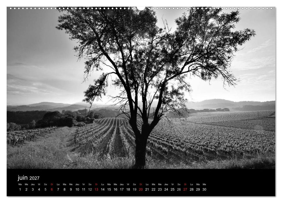 VIGNES DU SUD terroirs d'AOC (CALVENDO Calendrier supérieur 2027)