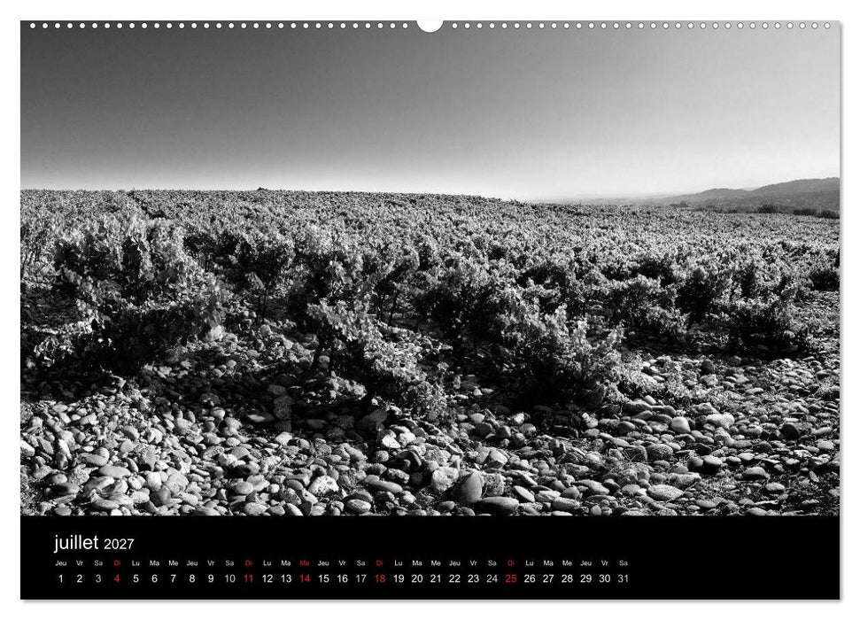 VIGNES DU SUD terroirs d'AOC (CALVENDO Calendrier supérieur 2027)