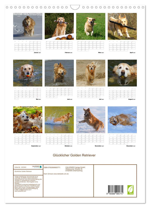 Glücklicher Golden Retriever (CALVENDO Wandkalender 2027)