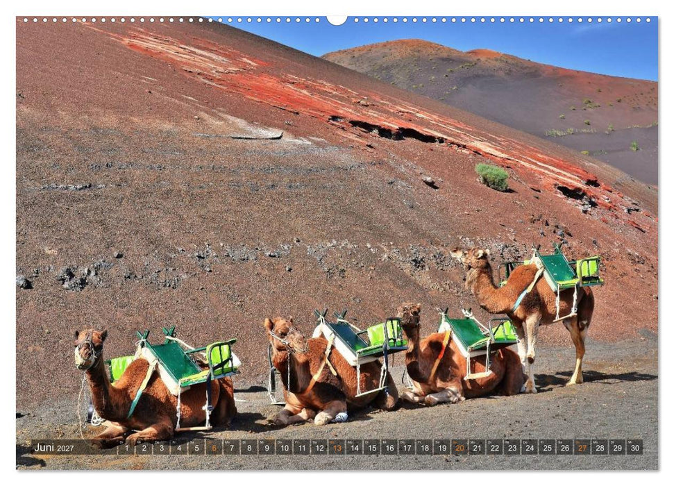 Lanzarote. Wunderwelt der Feuerberge (CALVENDO Premium Wandkalender 2027)