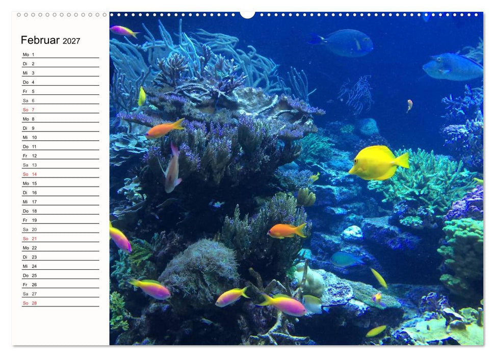 Paradiese. Karibik und Südsee über und unter Wasser (CALVENDO Wandkalender 2027)