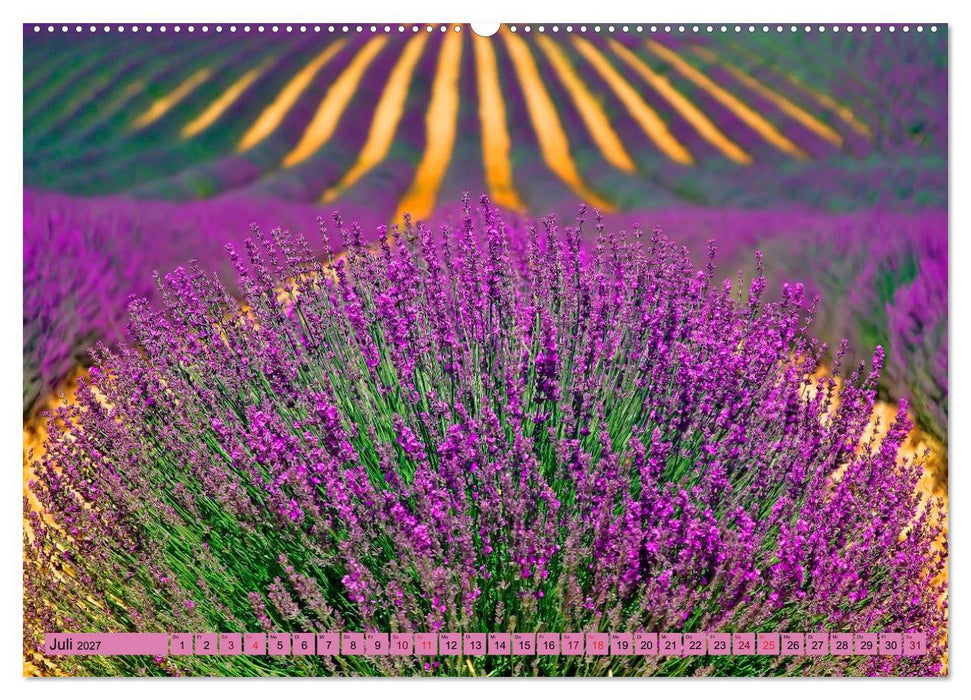 Lila - die mystische Farbe (CALVENDO Premium Wandkalender 2027)