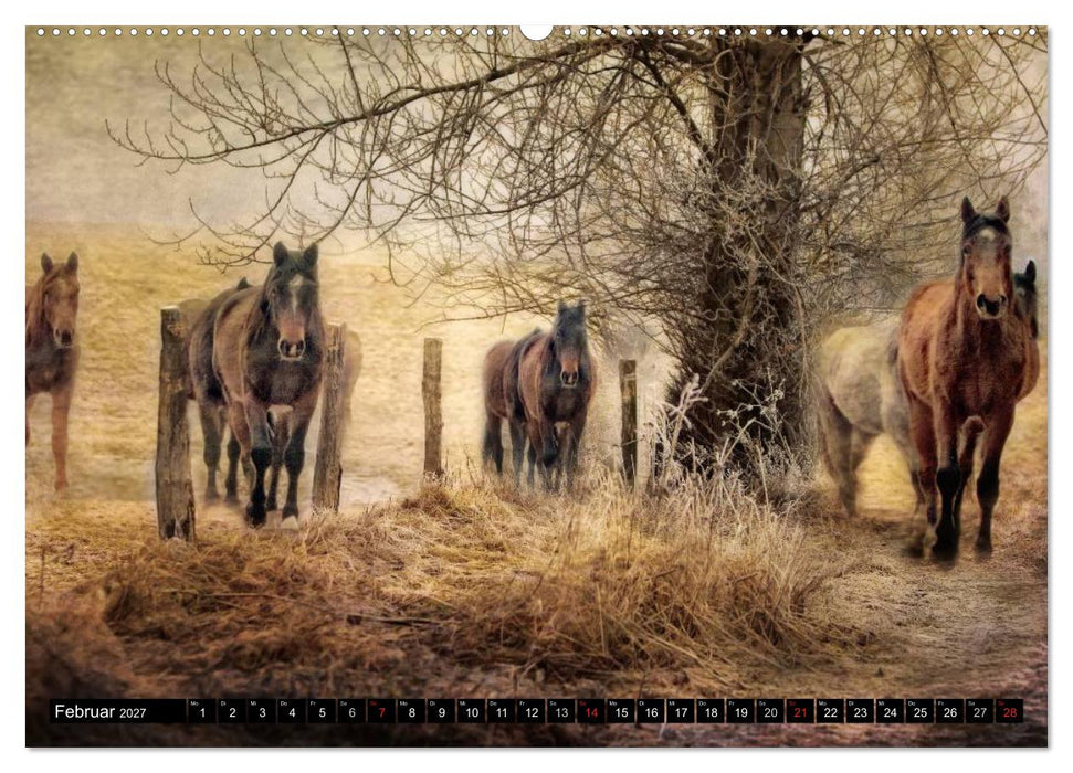 Western und Pferde (CALVENDO Premium Wandkalender 2027)