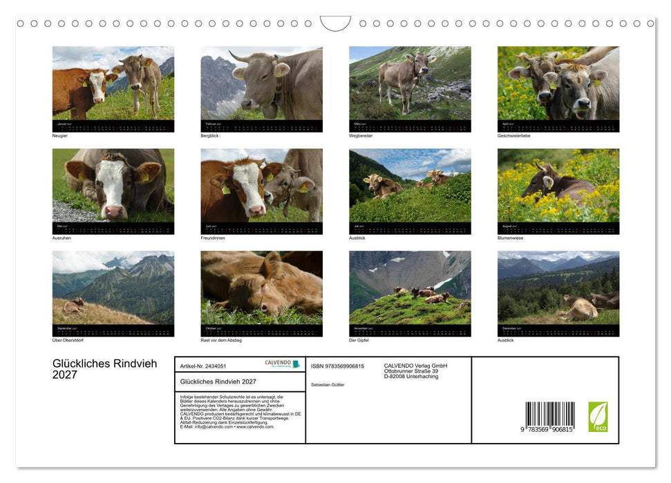 Glückliches Rindvieh 2027 (CALVENDO Wandkalender 2027)
