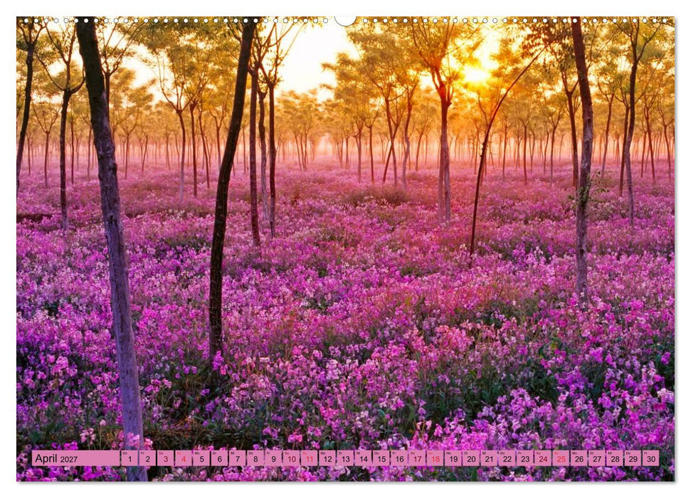 Lila - die mystische Farbe (CALVENDO Wandkalender 2027)