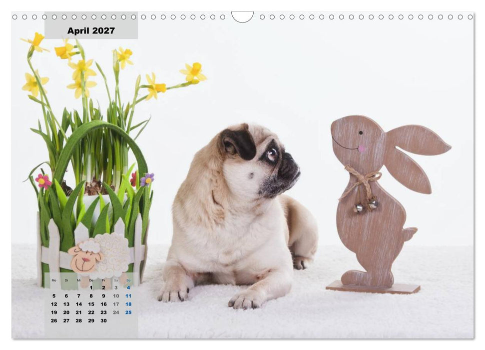 Lillie Mopsgetier - mopsfidel durchs Jahr (CALVENDO Wandkalender 2027)