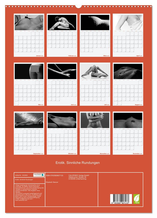 Erotik. Sinnliche Rundungen (CALVENDO Premium Wandkalender 2027)