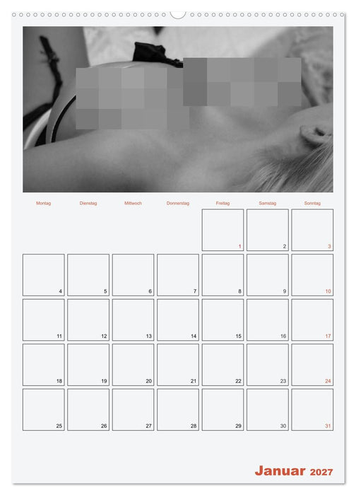 Erotik. Sinnliche Rundungen (CALVENDO Premium Wandkalender 2027)