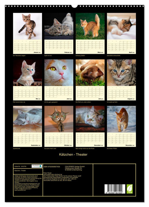 Kätzchen - Theater (CALVENDO Premium Wandkalender 2027)