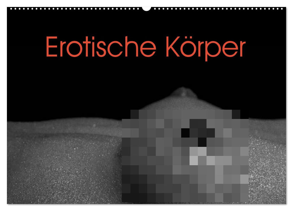 Erotische Körper (CALVENDO Wandkalender 2027)