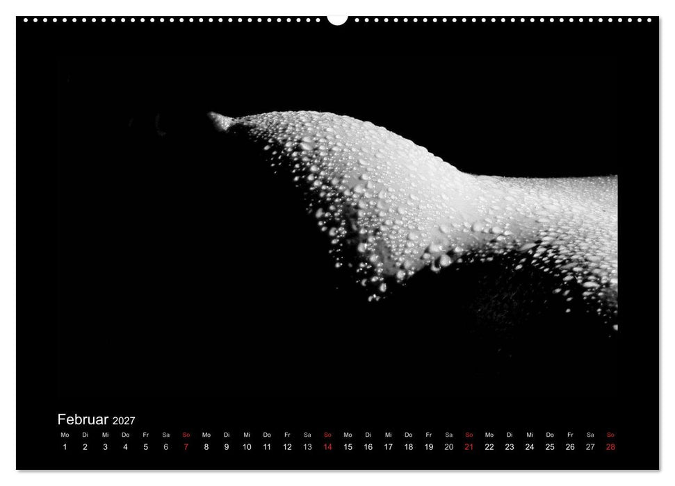 Erotische Körper (CALVENDO Wandkalender 2027)