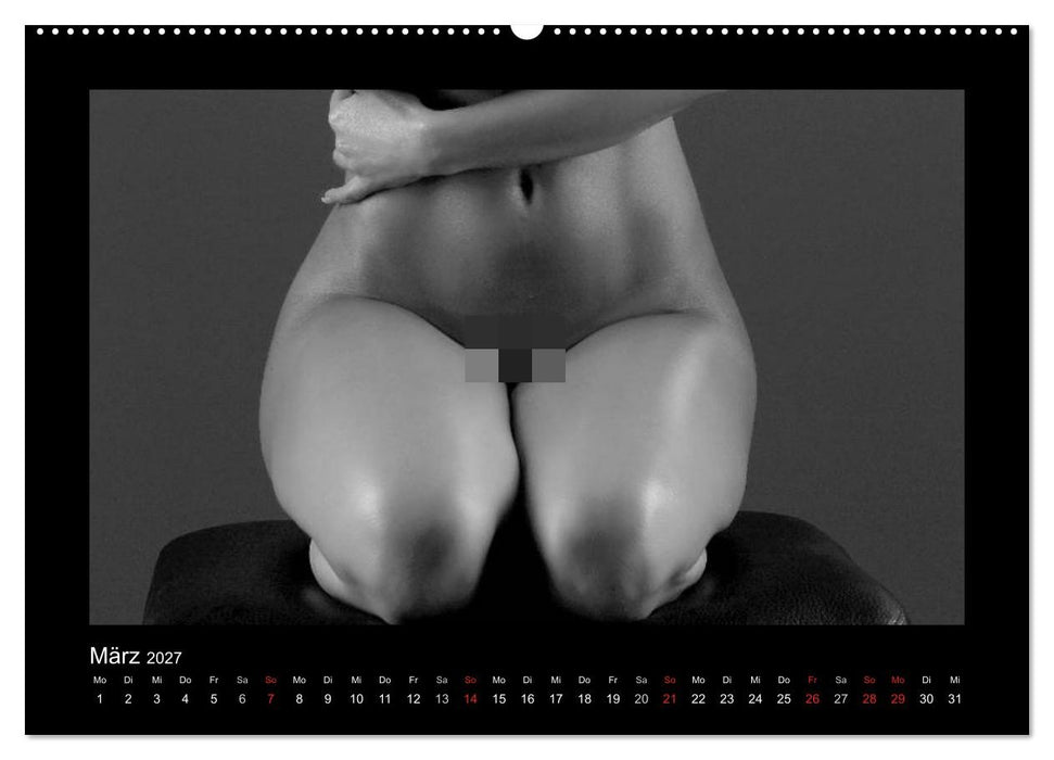 Erotische Körper (CALVENDO Wandkalender 2027)