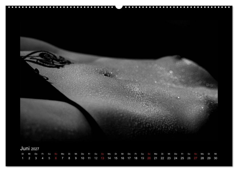 Erotische Körper (CALVENDO Wandkalender 2027)
