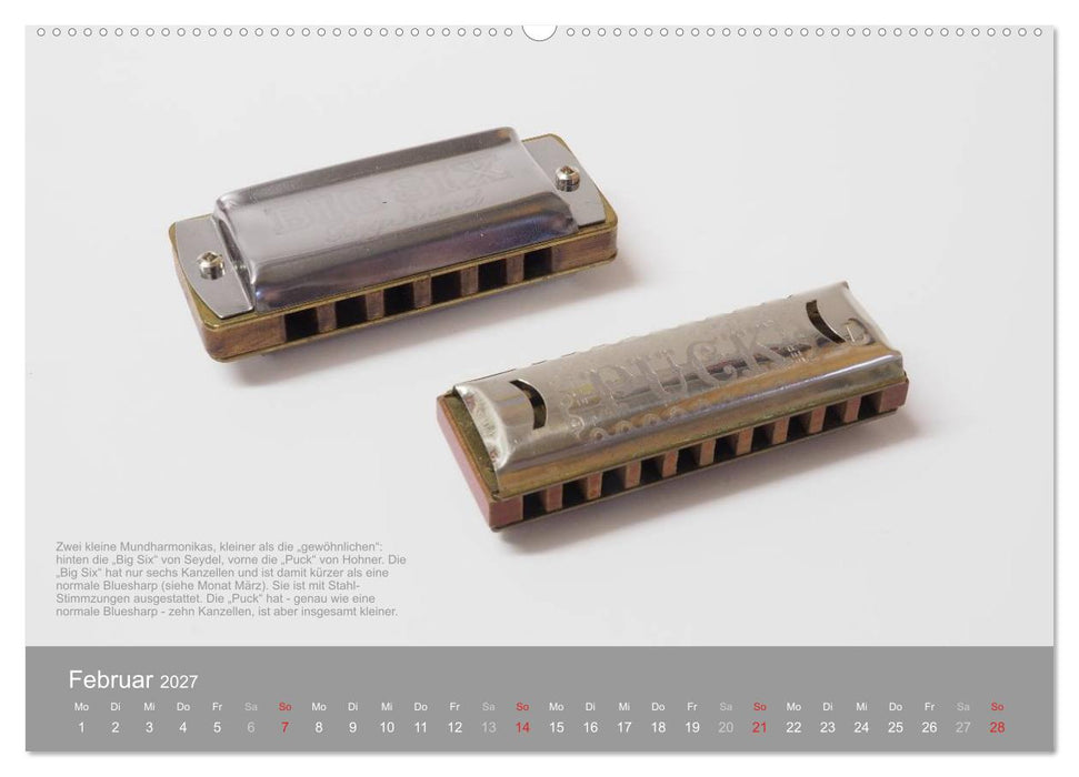 Mundharmonikas im Blickpunkt (CALVENDO Premium Wandkalender 2027)