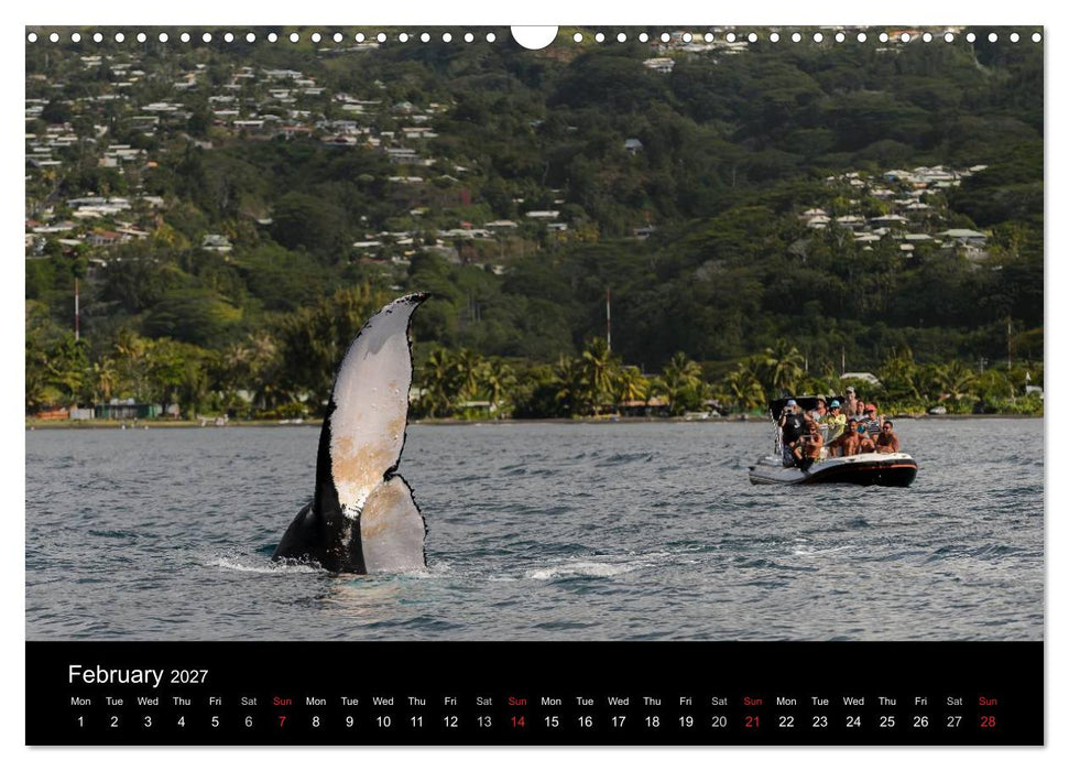 Bora Bora, Paradise islands (CALVENDO Monthly Calendar 2027)
