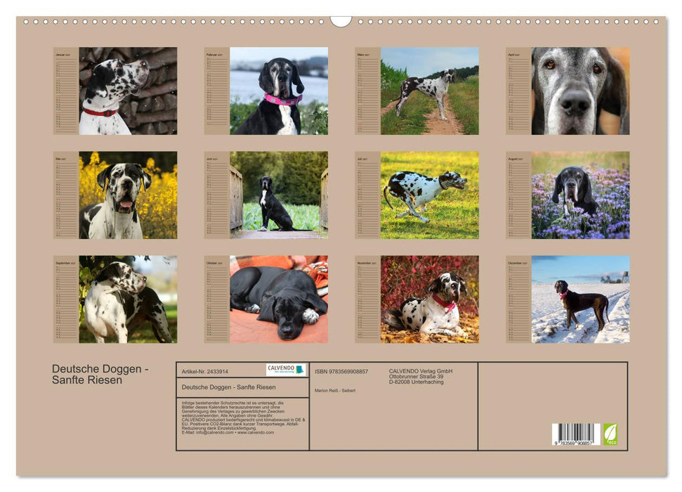 Deutsche Doggen - Sanfte Riesen (CALVENDO Wandkalender 2027)