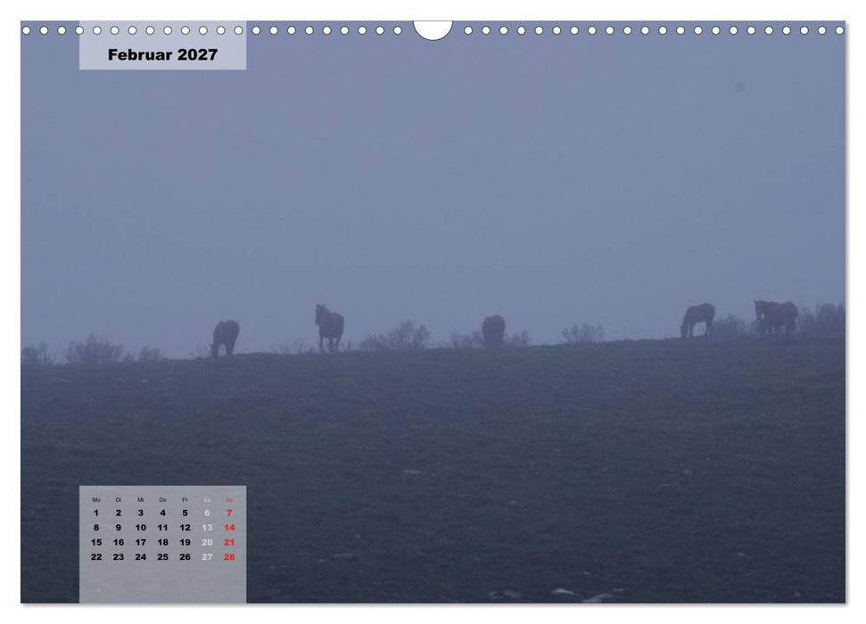 Nordportugal - Heimat der letzten wilden Pferde (CALVENDO Wandkalender 2027)