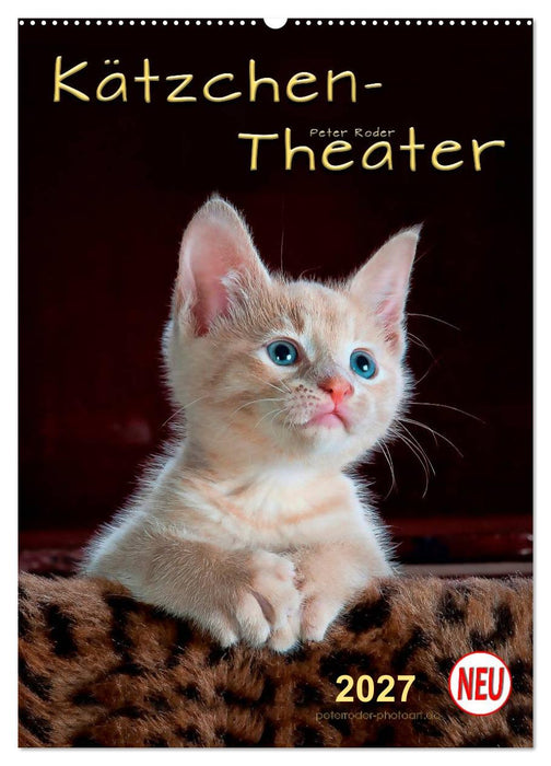 Kätzchen - Theater (CALVENDO Wandkalender 2027)