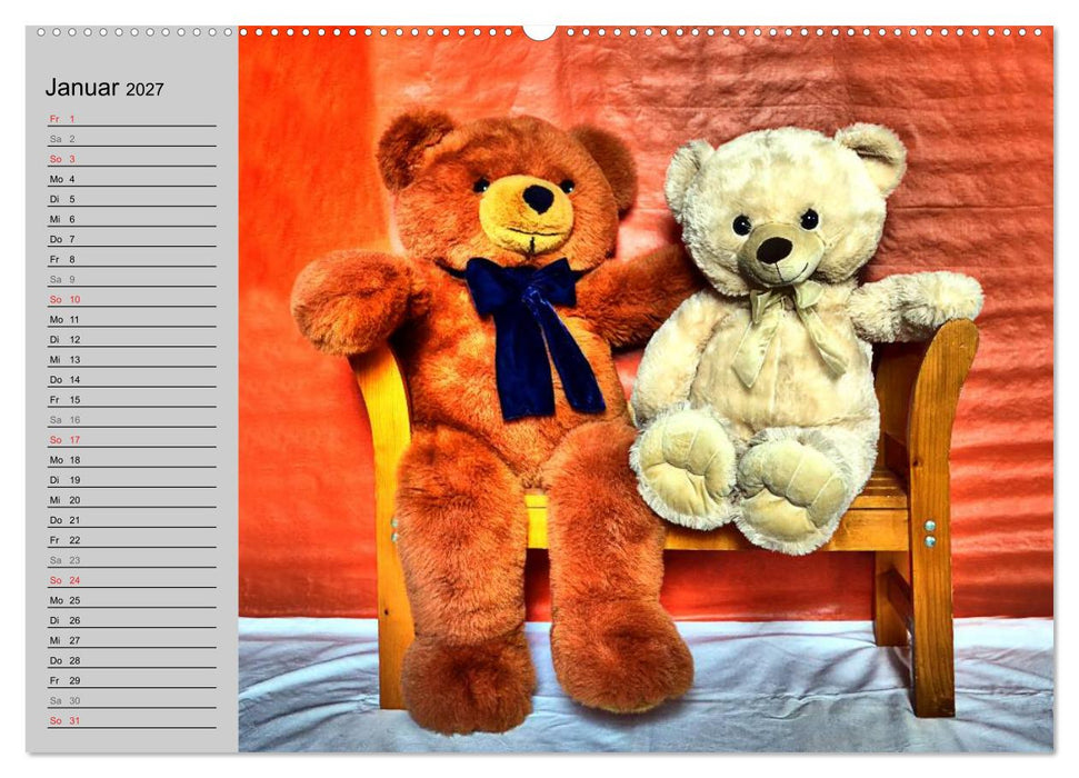 TEDDYBÄR, OH TEDDYBÄR... (CALVENDO Premium Wandkalender 2027)