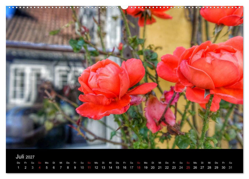 Zeit für... die Insel Ærø (CALVENDO Premium Wandkalender 2027)