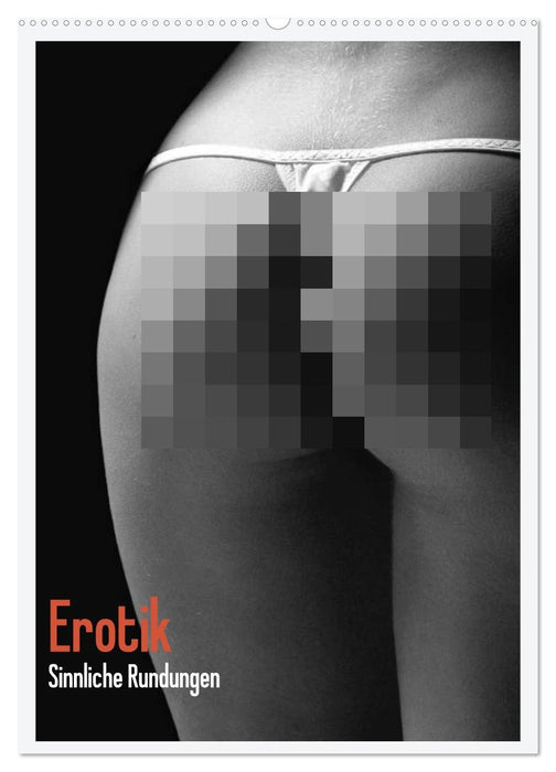Erotik. Sinnliche Rundungen (CALVENDO Wandkalender 2027)
