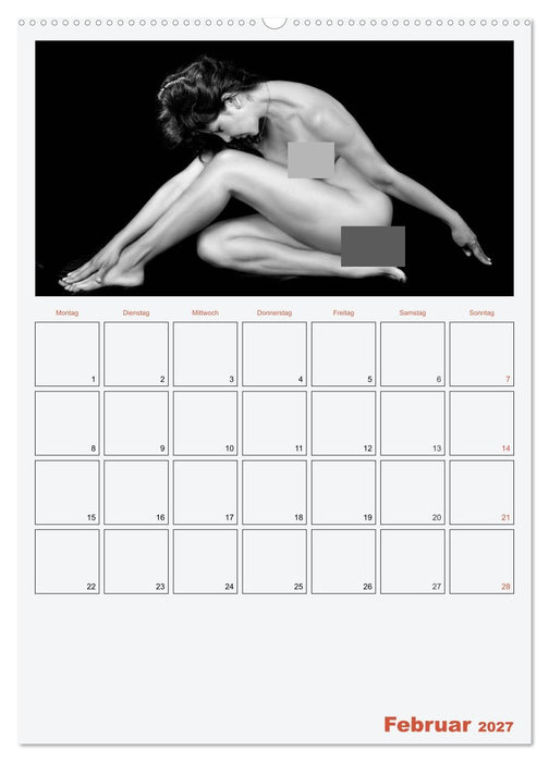 Erotik. Sinnliche Rundungen (CALVENDO Wandkalender 2027)