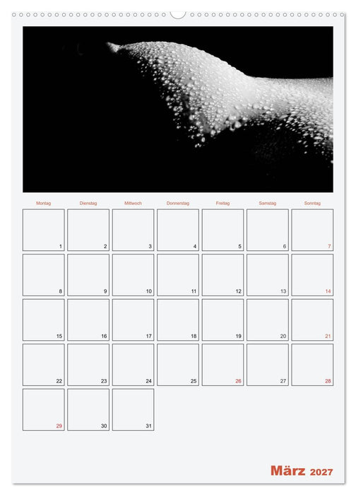 Erotik. Sinnliche Rundungen (CALVENDO Wandkalender 2027)
