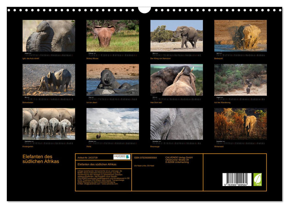 Elefanten des südlichen Afrikas (CALVENDO Wandkalender 2027)
