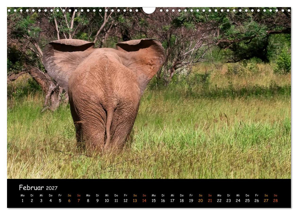 Elefanten des südlichen Afrikas (CALVENDO Wandkalender 2027)
