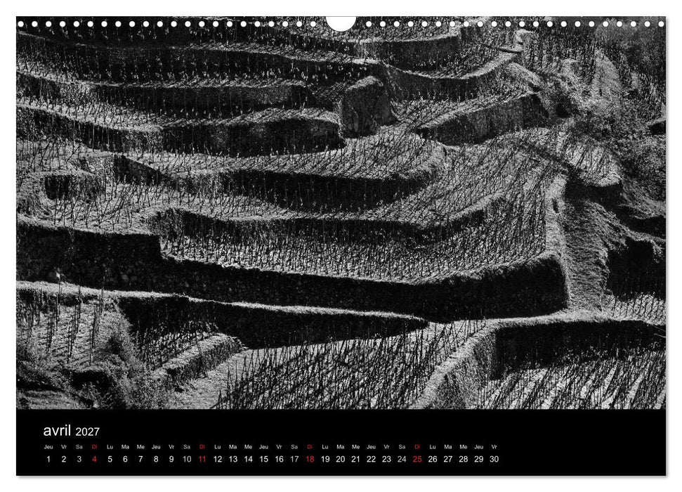 VIGNES DU SUD terroirs d'AOC (CALVENDO Calendrier mensuel 2027)
