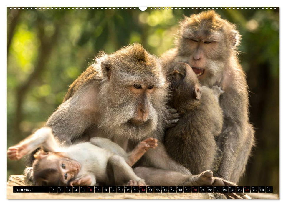 Ubud - Bali (CALVENDO Premium Wandkalender 2027)