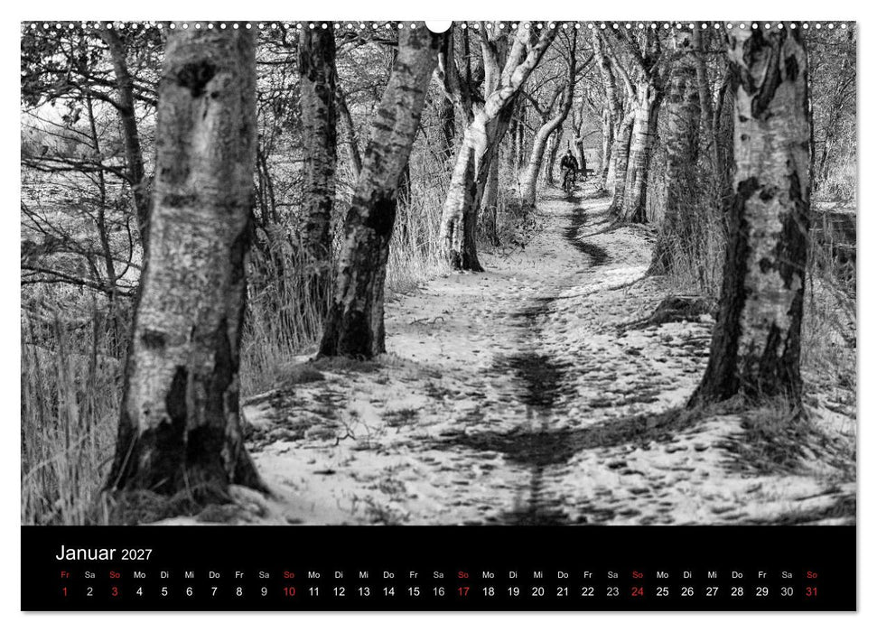 Ost-Friesische Schwarz-Weiß-Ansichten (CALVENDO Wandkalender 2027)