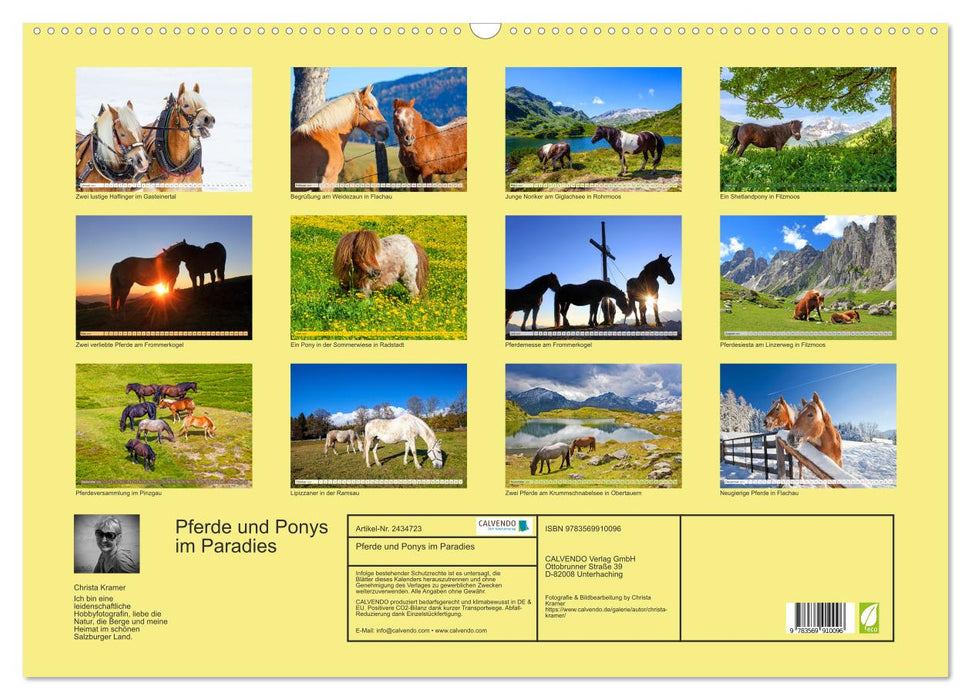Pferde und Ponys im Paradies (CALVENDO Wandkalender 2027)