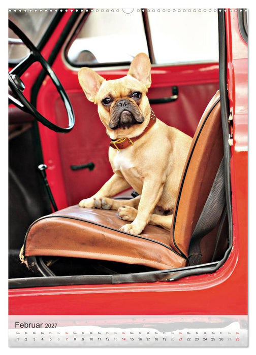 Hundepersönlichkeiten (CALVENDO Wandkalender 2027)