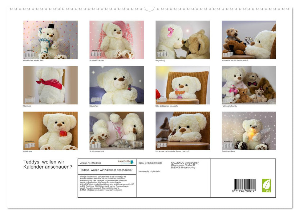 Teddys, wollen wir Kalender anschauen? (CALVENDO Premium Wandkalender 2027)