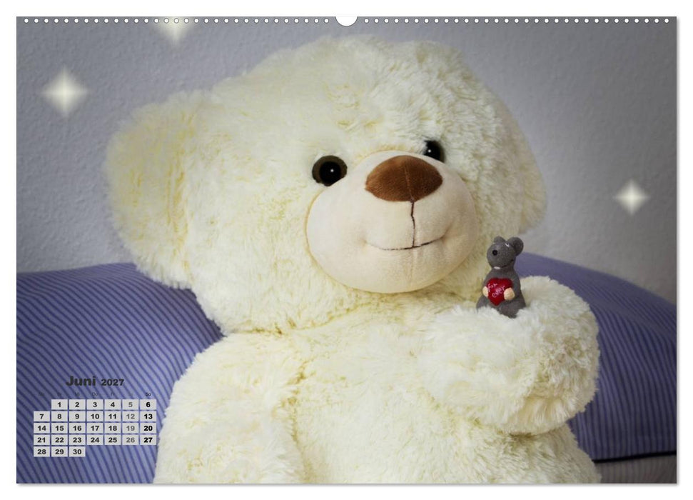 Teddys, wollen wir Kalender anschauen? (CALVENDO Premium Wandkalender 2027)